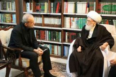 آیت الله نوری همدانی: از رییس جمهور حمایت می کنیم/ایجاد اختلاف به ضرر جریان انقلاب است