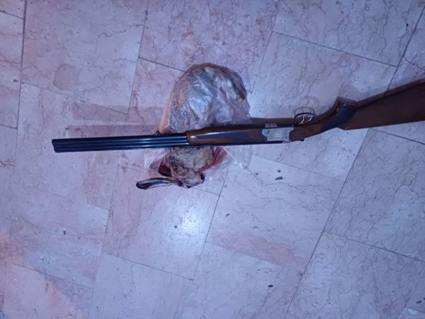 دستگیری متخلفین شکار غیر مجاز جانوران وحشی در شهرستان دهلران