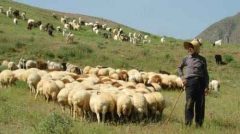 بهره‌مندی بیش از ۱۲۰۰ خانوار ایلامی از خدمات بیمه‌های اجتماعی کمیته امداد