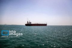 نظام‌نامه‌ اخذ عوارض زیست‌محیطی تنگه هرمز در دستور کار دولت است