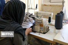 کمیته امداد ایلام ۲۶۰۳ فرصت شغلی برای مددجویان ایجاد کرد