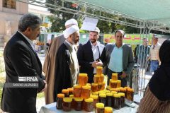 امام جمعه: عسل ایلام، فرصتی بی‌نظیر برای اشتغال و ارزآوری است