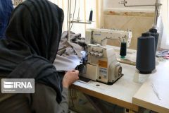 کمیته امداد ایلام: ۱۹۰۰ مددجو در سال جاری توانمند می‌شوند