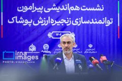مدنی زاده: طرح ملی اعتبار ایرانیان اجرایی می شود