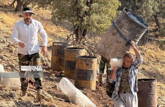 جنگل‌هایی که برای زغال می‌سوزند