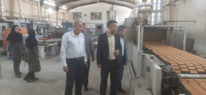 بازدید مدیرکل استاندارد از واحدهای تولیدی استان در راستای برنامه‌های نظارتی هفته دولت