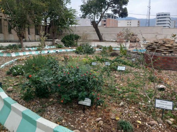 بانک گیاهی ایلام؛ حافظه‌ای سبز برای نسل‌های آینده