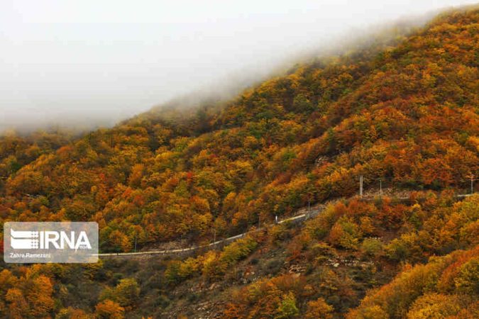 سفر رنگارنگ پاییزی؛ جاده چالوس، بهشتی در دل طبیعت