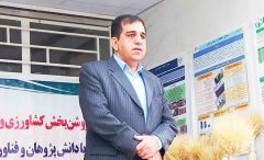 اصلاح الگوی کشت ایلام با تکیه بر پژوهش‌های کاربردی دنبال می‌شود