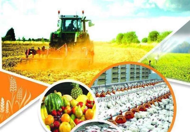 همکاری مرکز تحقیقات کشاورزی ایلام با پژوهشگاه علوم هسته‌ای گسترش می‌یابد