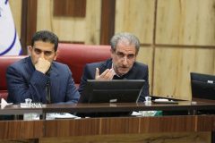 رشد ۱۵ درصدی تولید مرغ در ایلام؛ انبار کالاهای اساسی تکمیل است