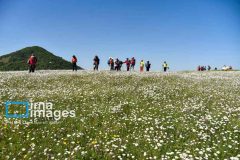اردیبهشت، بهترین زمان برای سفر به مناطق زیبای ایران