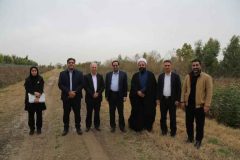 جنگل‌کاری اقتصادی رویکرد مهم سازمان منابع طبیعی و آبخیزداری است