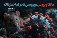 هانتاویروس؛ تهدید محیطی، نه فرد به فرد