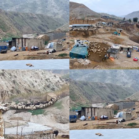 کد را بهانه نکنید کد را بسازید/ داربید را دریابید